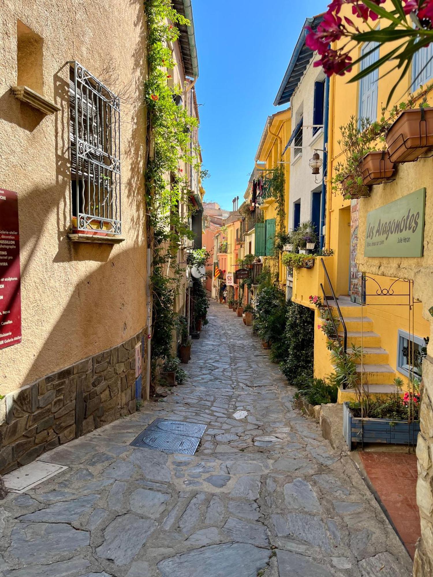 Appartement Collioure, Grande Terrasse Et Parking Exteriér fotografie